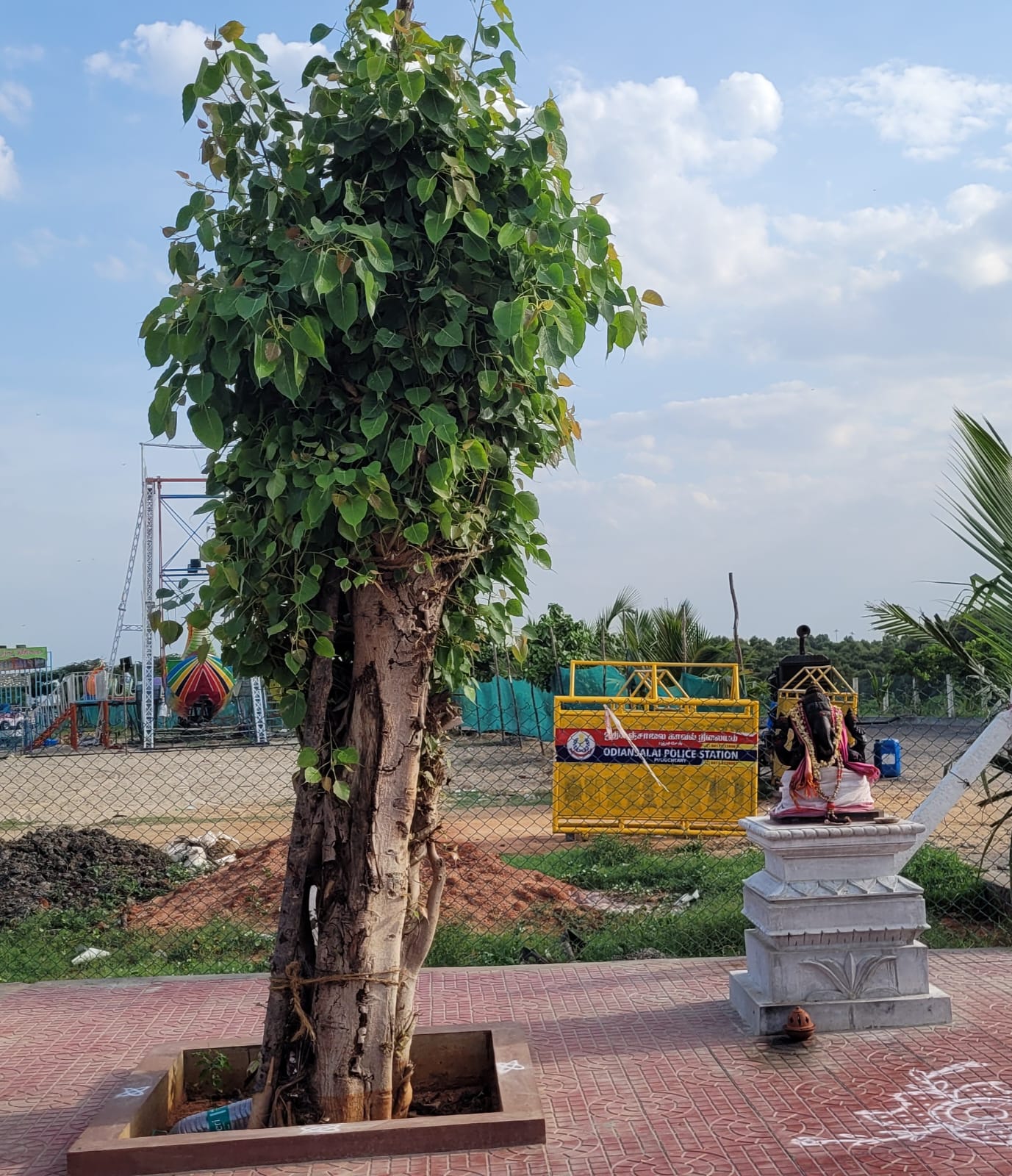 Tree Ambulance in Puducherry | Shifting & Replanting Old Trees | DSC Society Banner